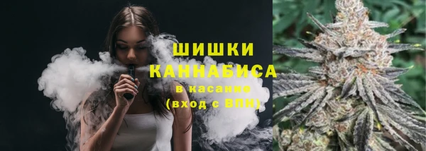 дживик Белокуриха