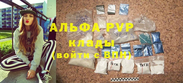 дживик Белокуриха
