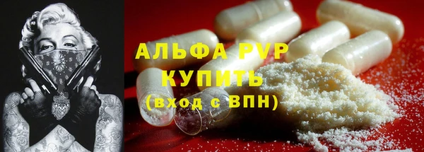 дживик Белокуриха