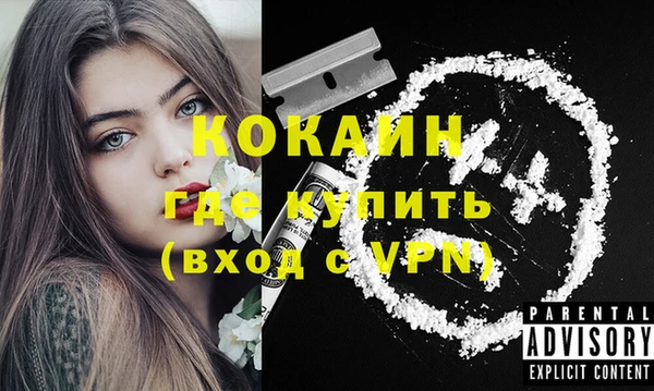 дживик Белокуриха