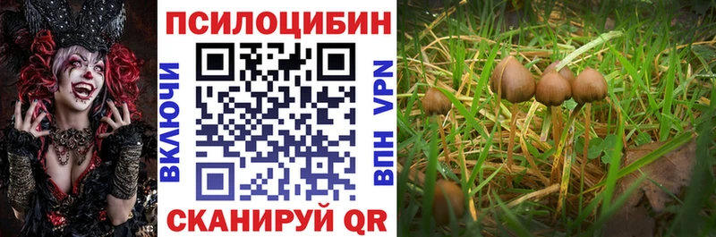 Псилоцибиновые грибы Psilocybine cubensis kraken маркетплейс Гудермес
