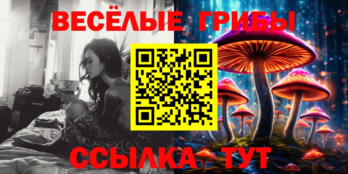 Гудермес  наркошоп  Вход с VPN  Галлюциногенные грибы Psilocybine cubensis 